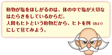 動物が塩をほしがるのは、体の中で塩が大切なはたらきをしているからだ。人間もヒトという動物だから、ヒトを例(れい)にして見てみよう。