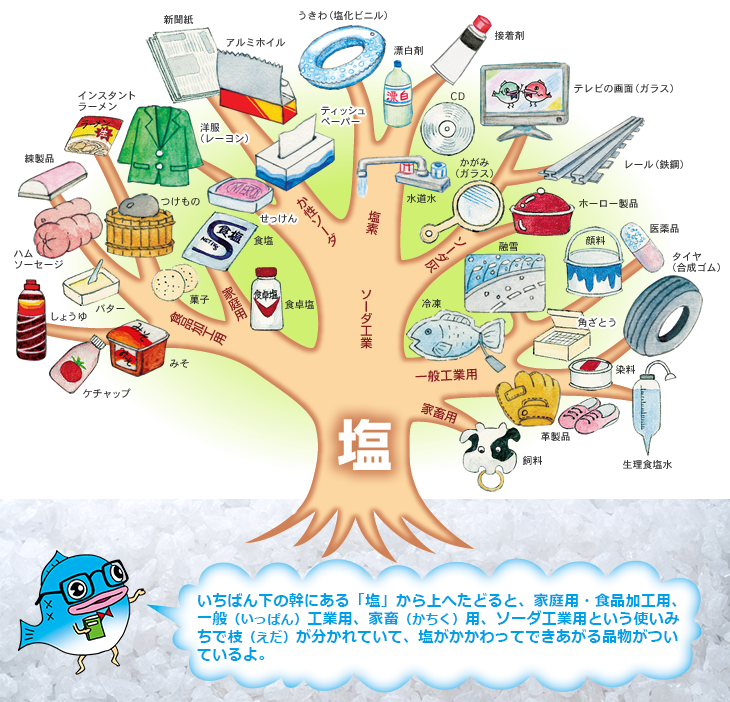 いちばん下の幹にある「塩」から上へたどると、家庭用・食品加工用、一般(いっぱん)工業用、家畜(かちく)用、ソーダ工業用という使いみちで枝(えだ)が分かれていて、塩がかかわってできあがる品物がついているよ。