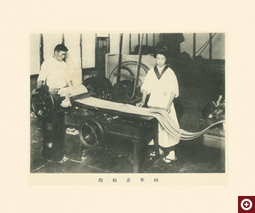 軸木剥ぎ・刻みの工程　「東洋燐寸株式会社」写真帳より