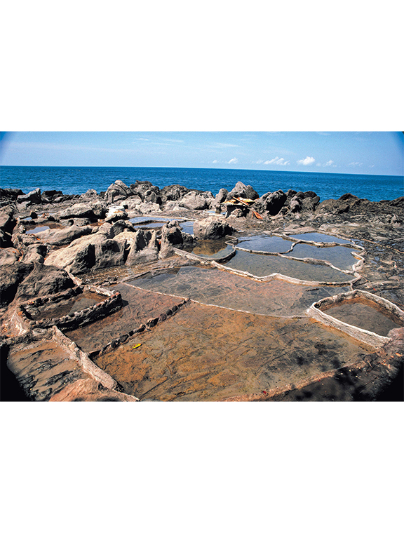 ラマレラ村の製塩のようす（撮影：江上幹幸）海岸の岩の上にある、灰や石灰で区切られた浅い蒸発池で海水を濃縮します。