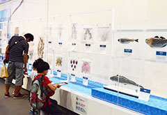 第47回夏休み塩の学習室　さぐってみよう！海のめぐみ 2026（仮称）