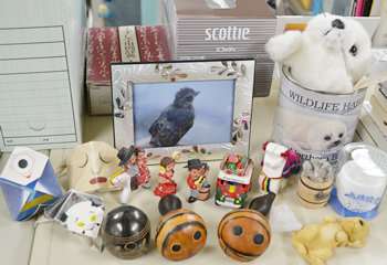 私の机周りを整理したところ、このように多彩なものが出現。