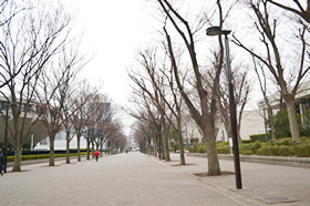 博物館から公園へ続く道。