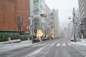 雪の公園通り。