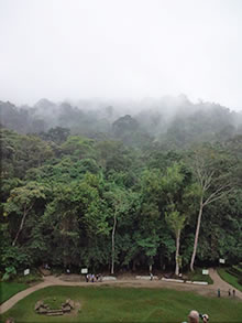 「十字の神殿」の上から、たば塩学芸員が撮影した写真。