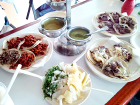 タフな調査に向けてのエネルギー源。