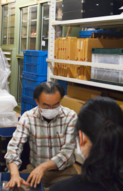 後進の学芸員に指導するI主席学芸員。