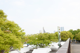 代々木公園のようす