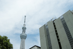 工事中の新館の裏側越しにはスカイツリー。
