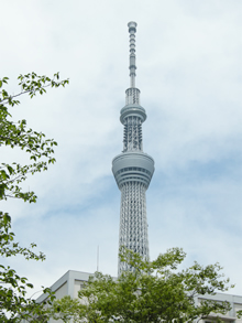 親水公園に絶好の撮影ポイントがありました。