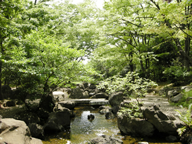 まるで渓谷のよう。こんな美しい景色もみられました。