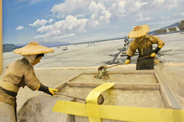 沼井で作業する女性