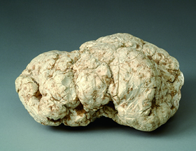 メアシャム原石