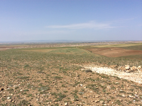 見渡すかぎり平原。この地下にメアシャムが眠っています。