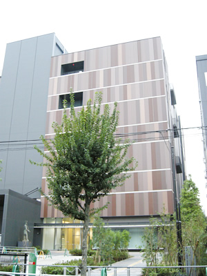 外観が姿を現しました。