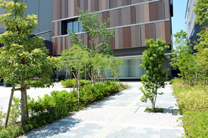 たば塩正面玄関へのアプローチの植栽の緑がきれいです。