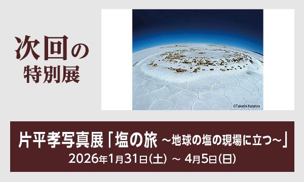 次回の特別展